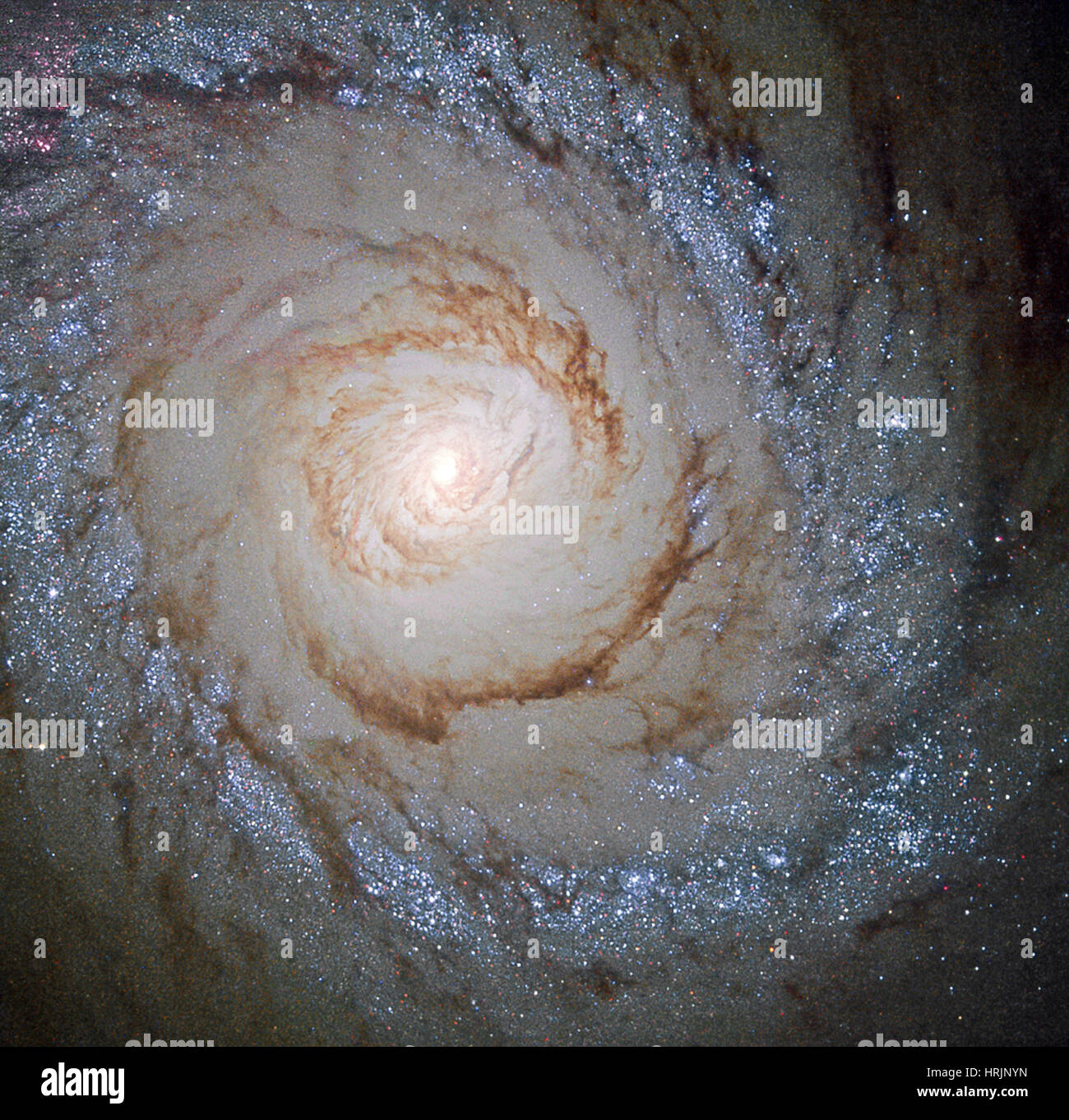 Starburst Galaxy Messier 94 Stock Photo
