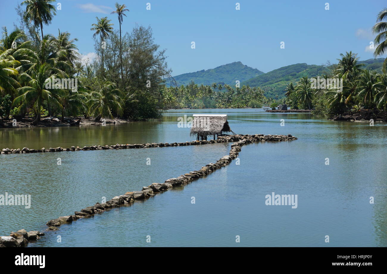 Traditional Polynesian old fish trap made with stones in a channel between a lake and the ocean, Huahine island, French Polynesia, South Pacific Stock Photo
