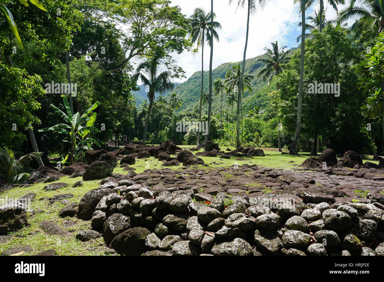 Tahiti island old stone structure in a valley with tropical vegetation, Arahurahu Marae, French Polynesia, Oceania Stock Photo