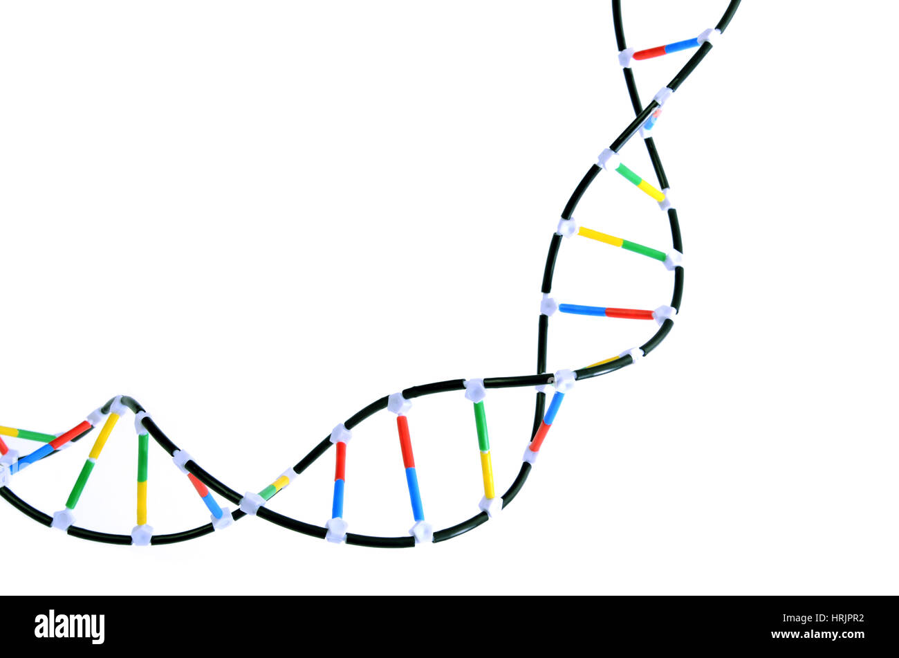 Double Helix DNA Model Stock Photo - Alamy