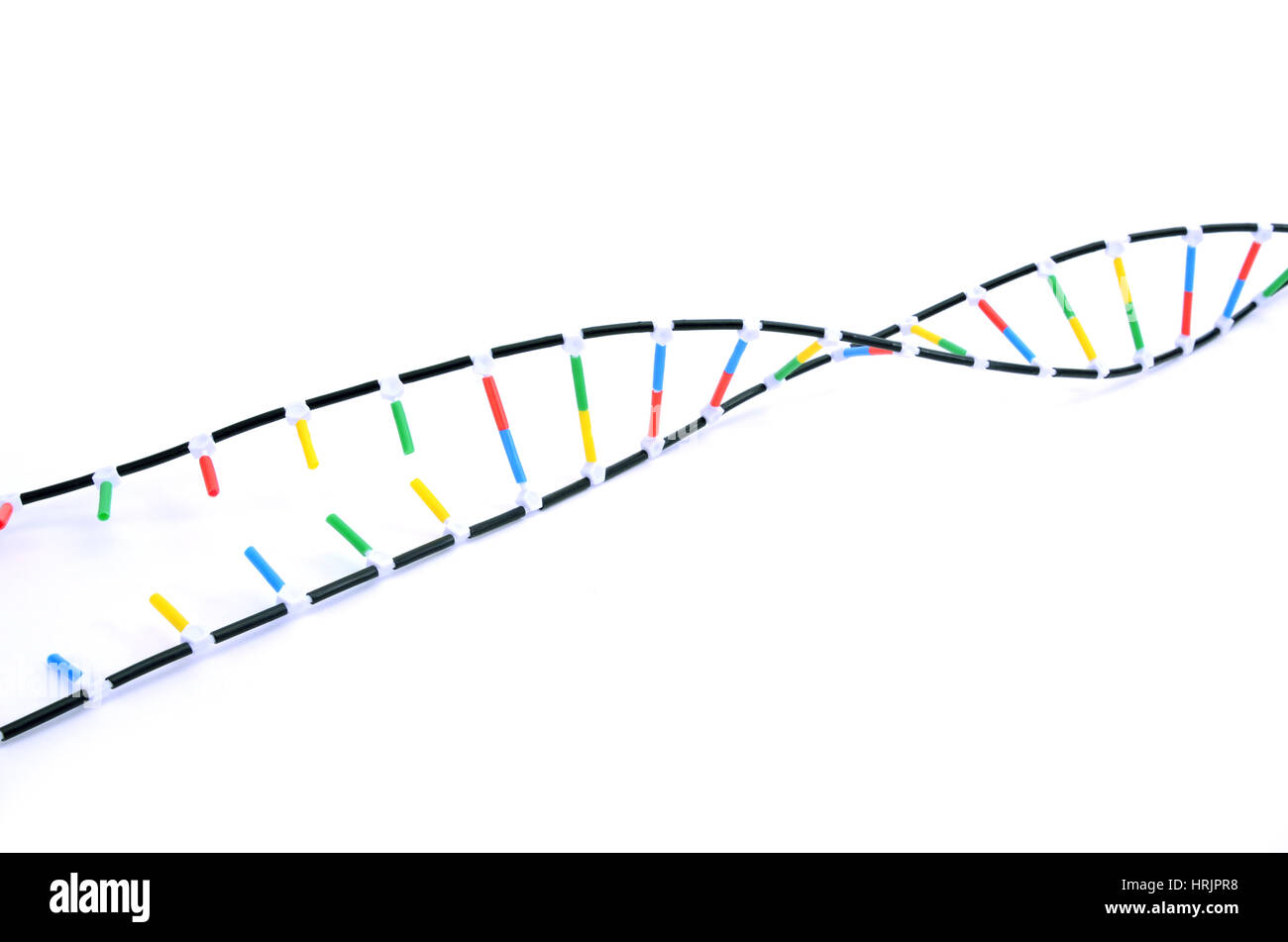 Double Helix DNA Model Stock Photo Alamy