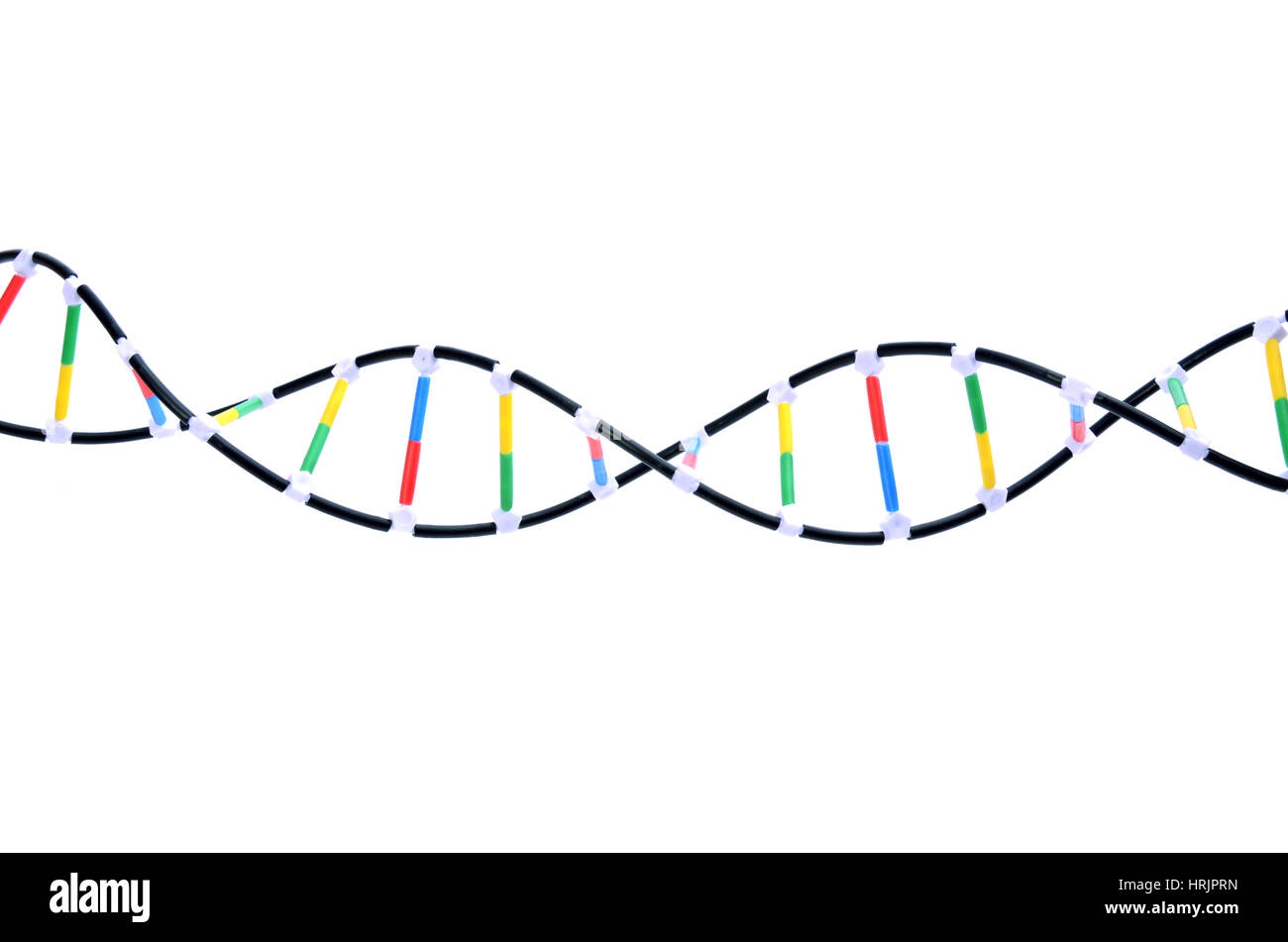 Double Helix DNA Model Stock Photo Alamy