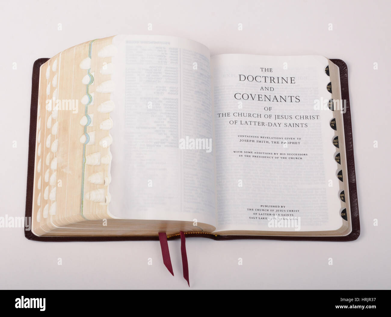 Book of Mormon, Still Life Stock Photo