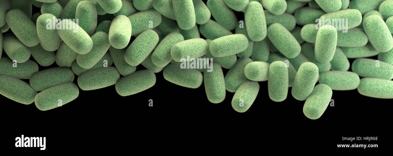 Clostridium perfringens Bacteria, 3D Model Stock Photo