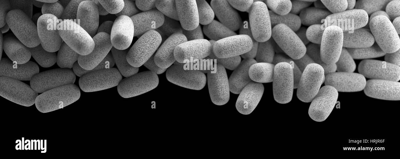 Clostridium perfringens Bacteria, 3D Model Stock Photo