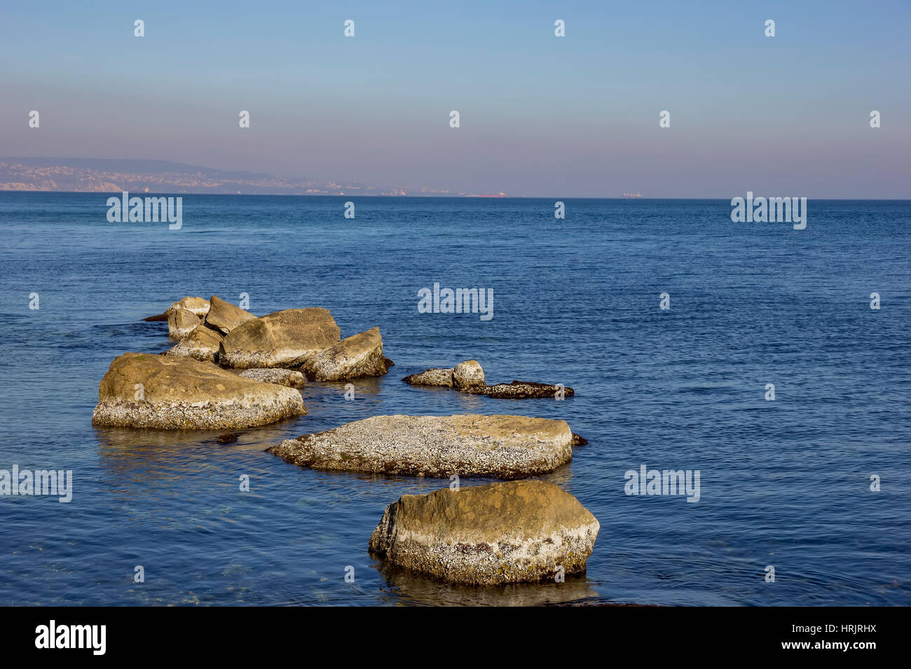 Beauty day view of sea rocks with algae Stock Photo