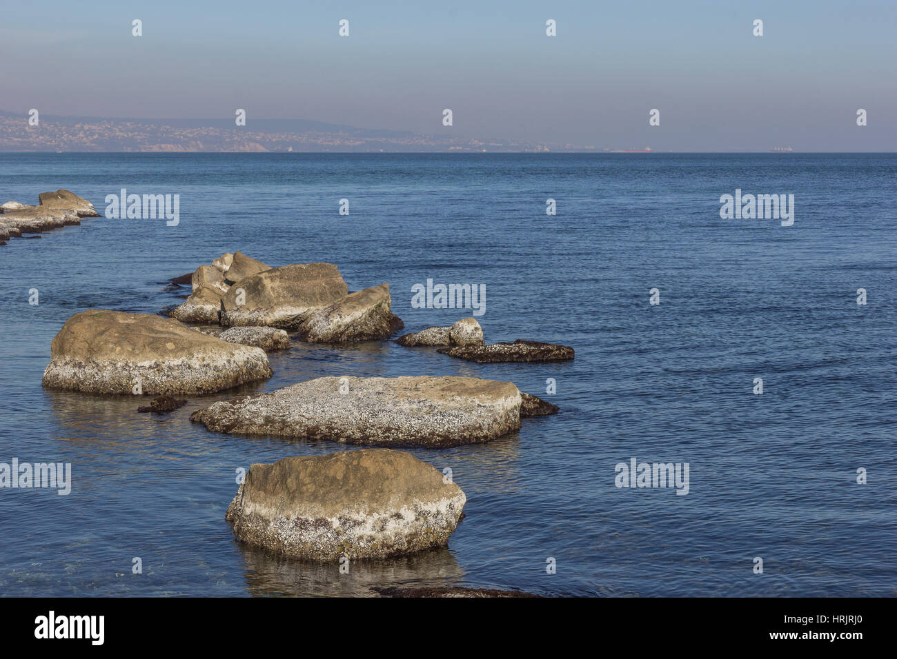 Beauty day view of sea rocks with algae Stock Photo