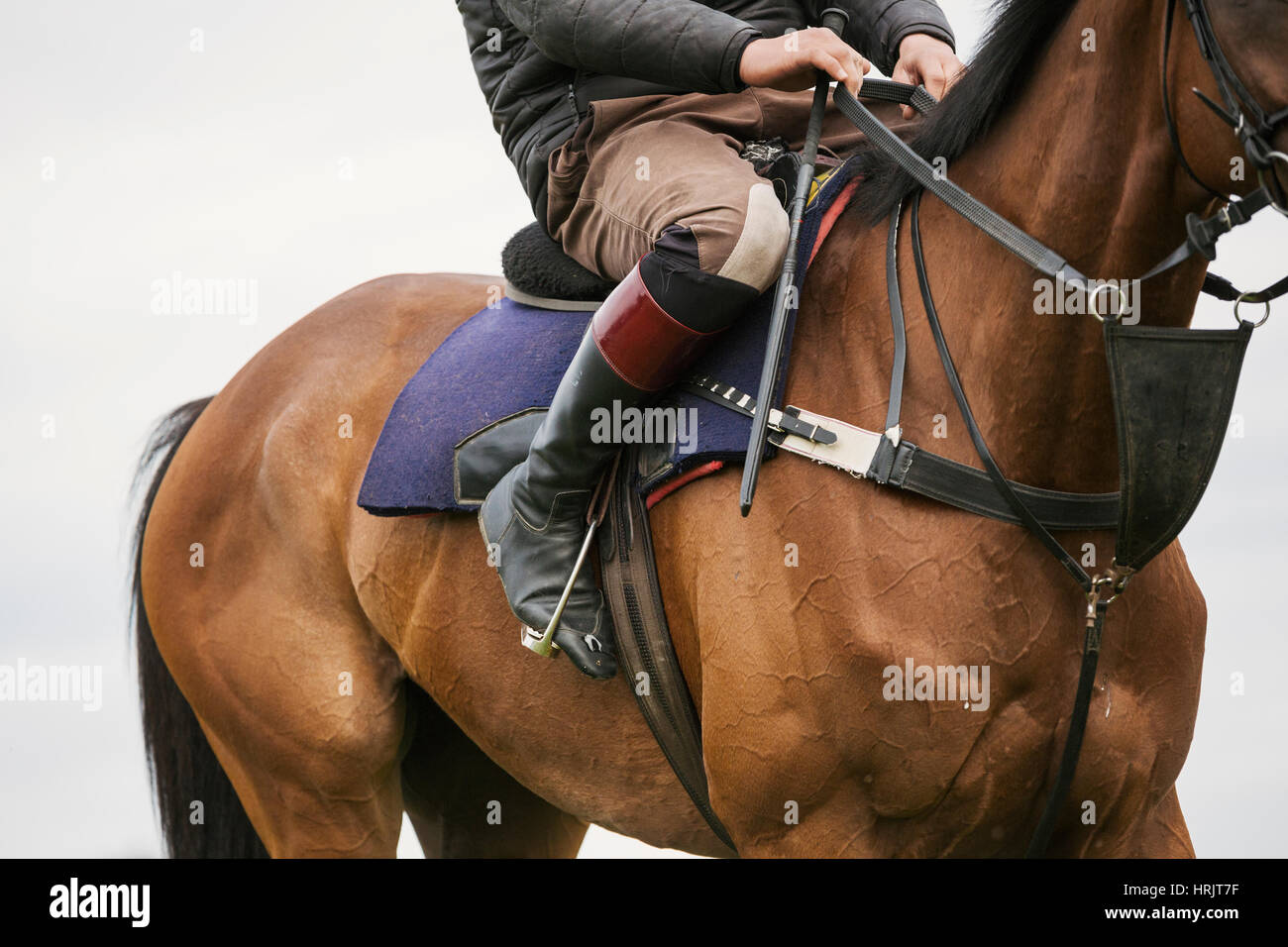 Close up of a rider wearing black riding boots riding a bay racehorse with short stirrups Stock Photo Alamy