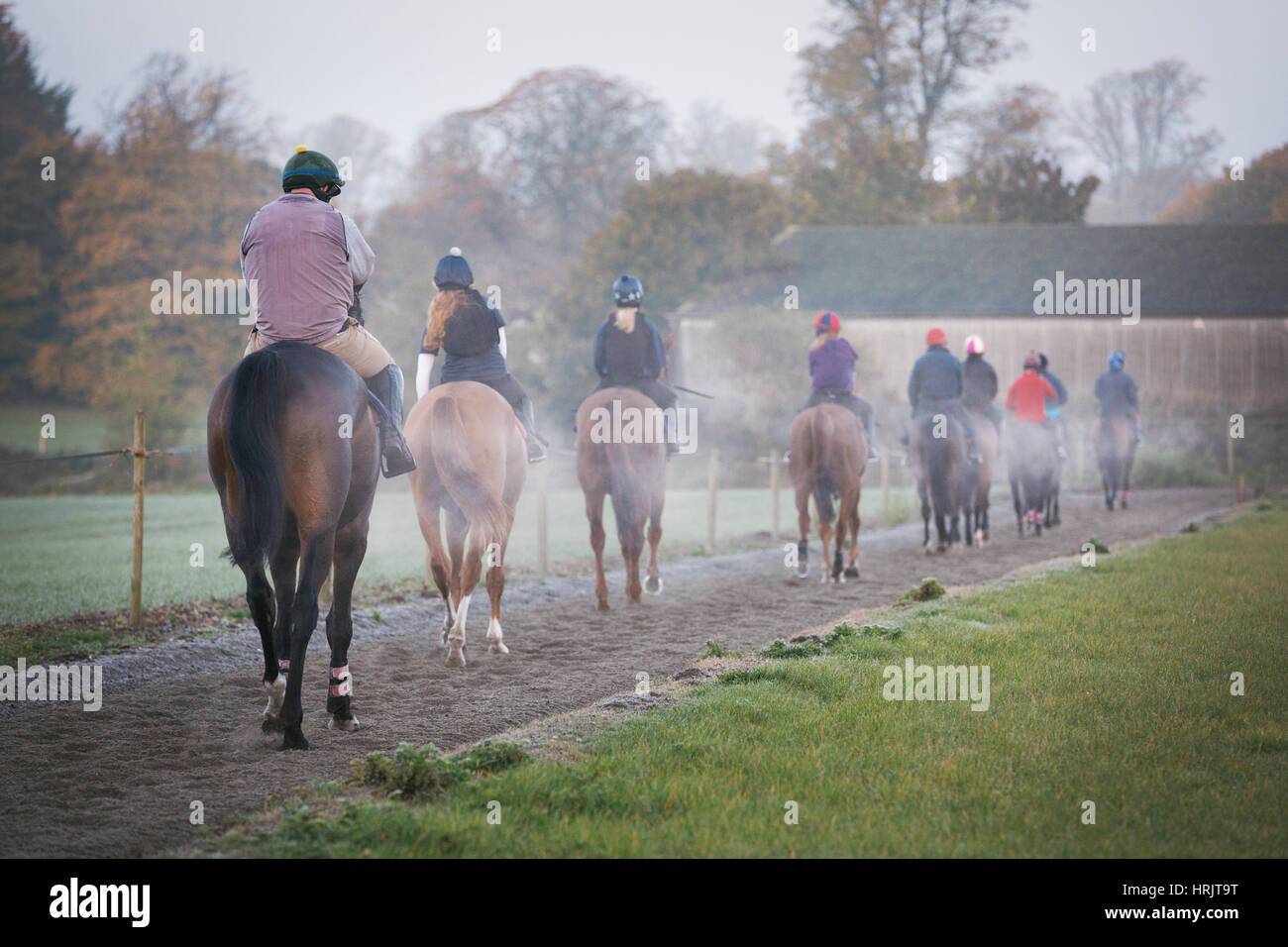 Steam riding horses hi-res stock photography and images - Alamy