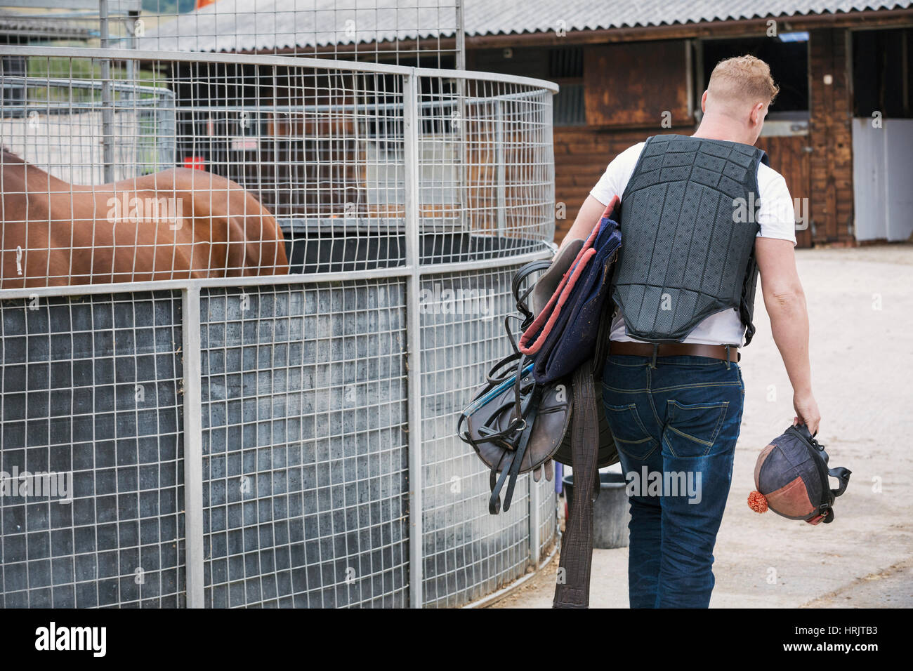 Rear view of a young man wearing a black body protector, and carrying riding gear at a riding stable. Stock Photo