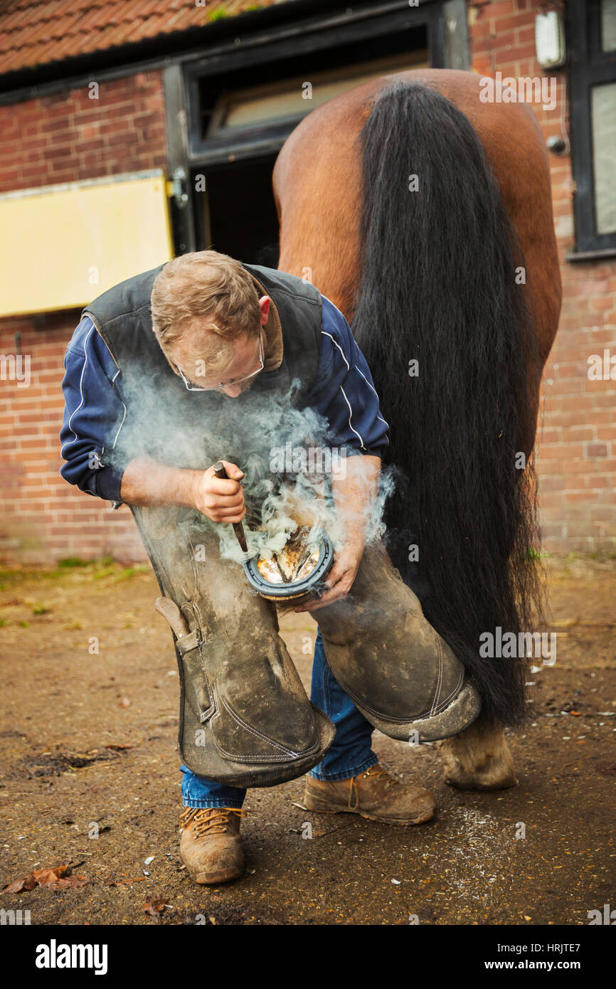 A farrier shoeing a horse, bending down and fitting a new horseshoe to