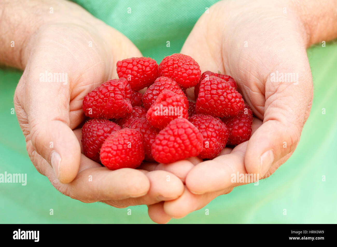 Pick raspberries hi-res stock photography and images - Alamy