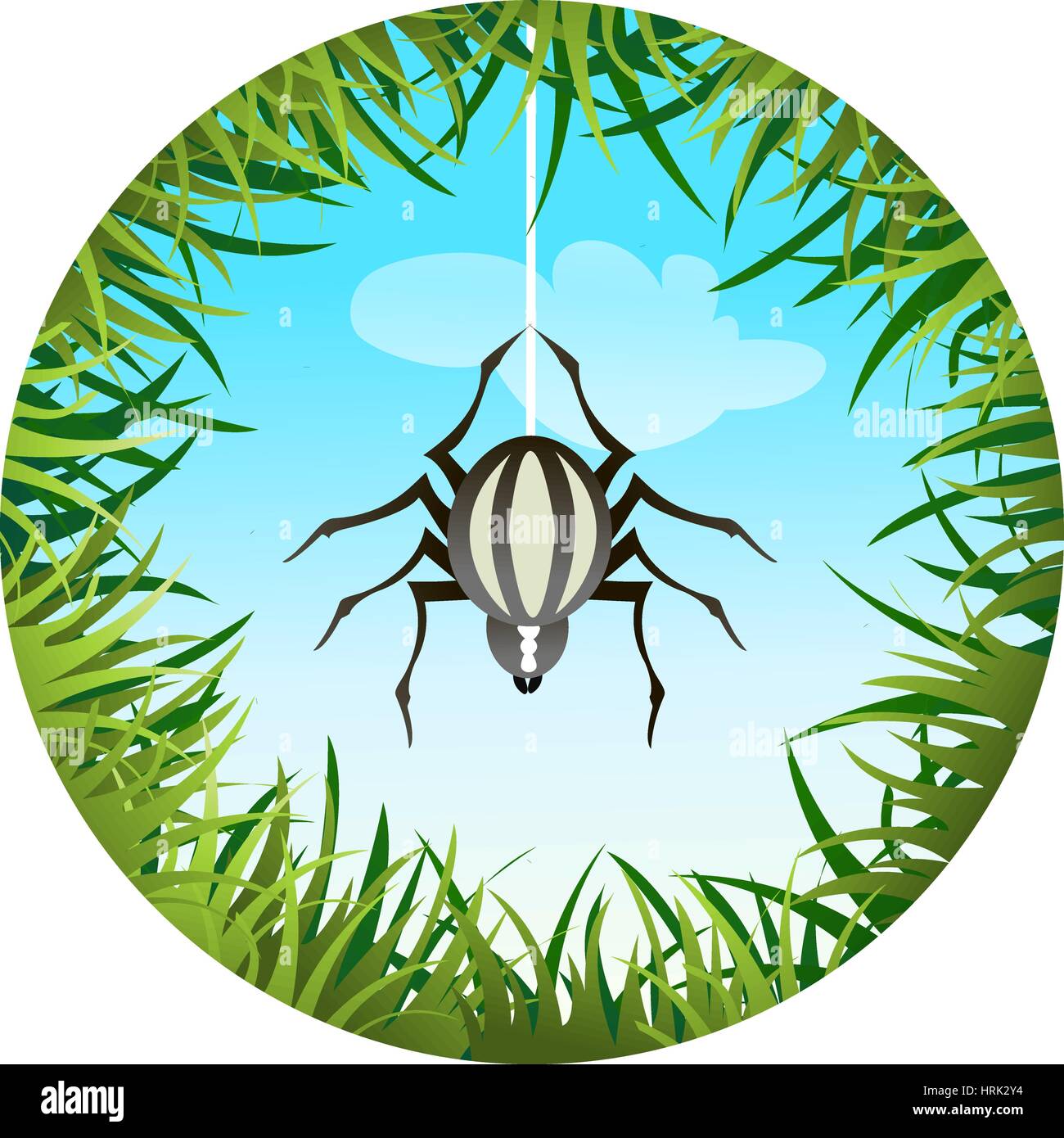 Hanging sedge Stock Vector Images - Alamy
