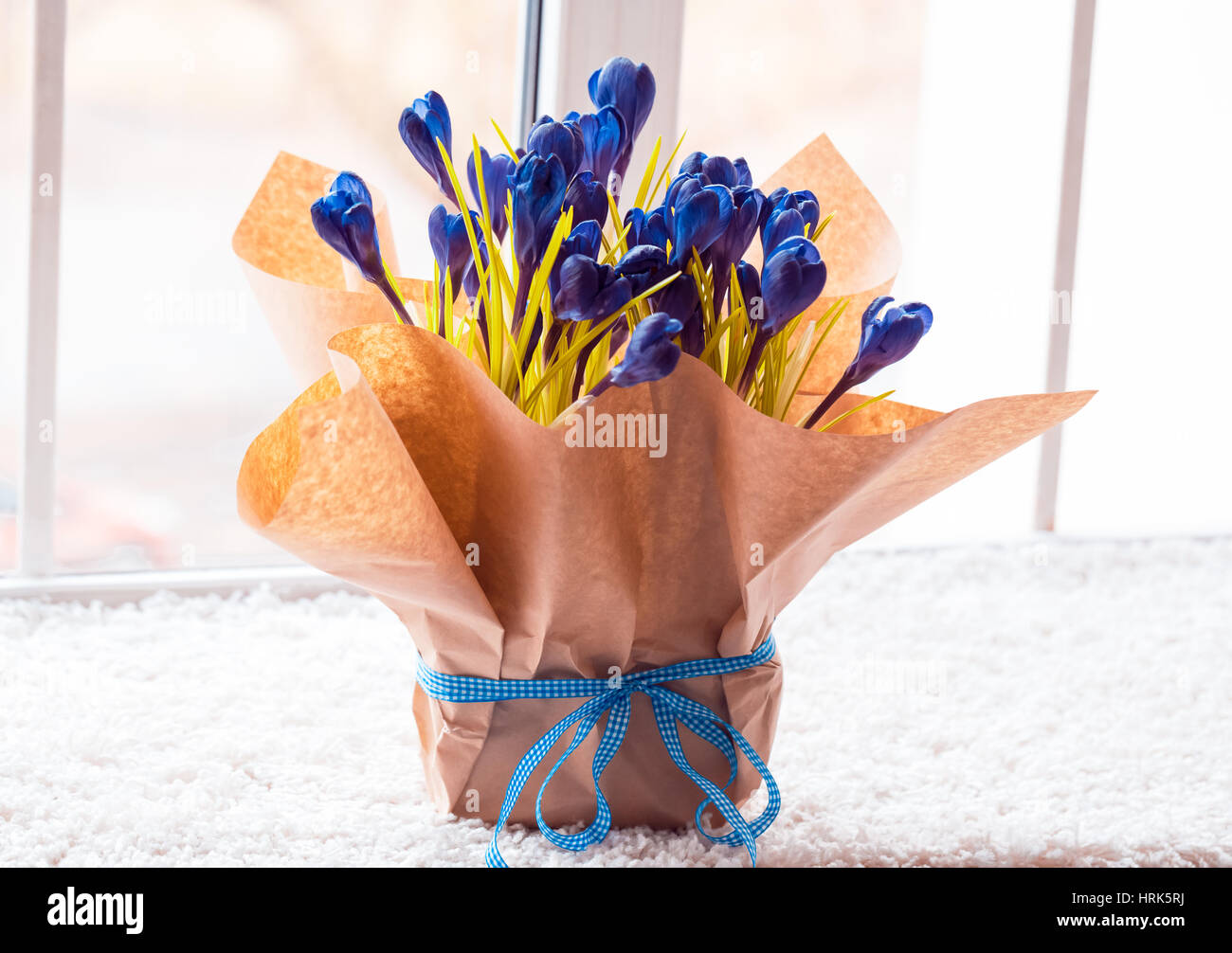 Beautiful crocuses. A bouquet of flowers for March 8, or Valentine's day Stock Photo