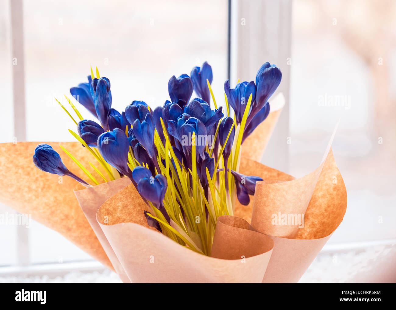 Beautiful crocuses. A bouquet of flowers for March 8, or Valentine's day Stock Photo