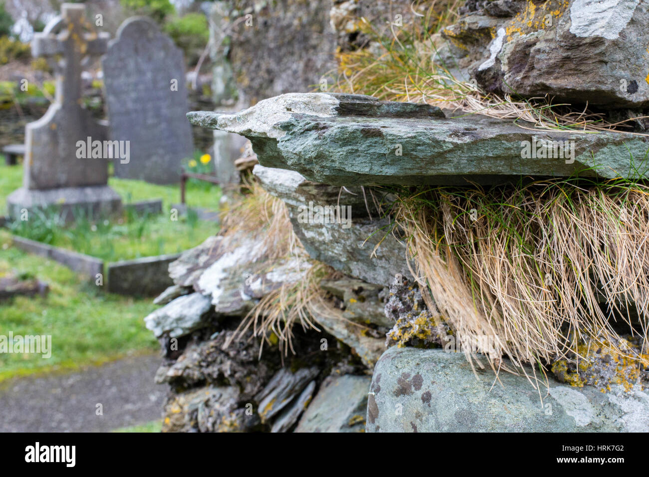 Dry stone wall in old churchyard on Valentia Island, Ireland Stock Photo