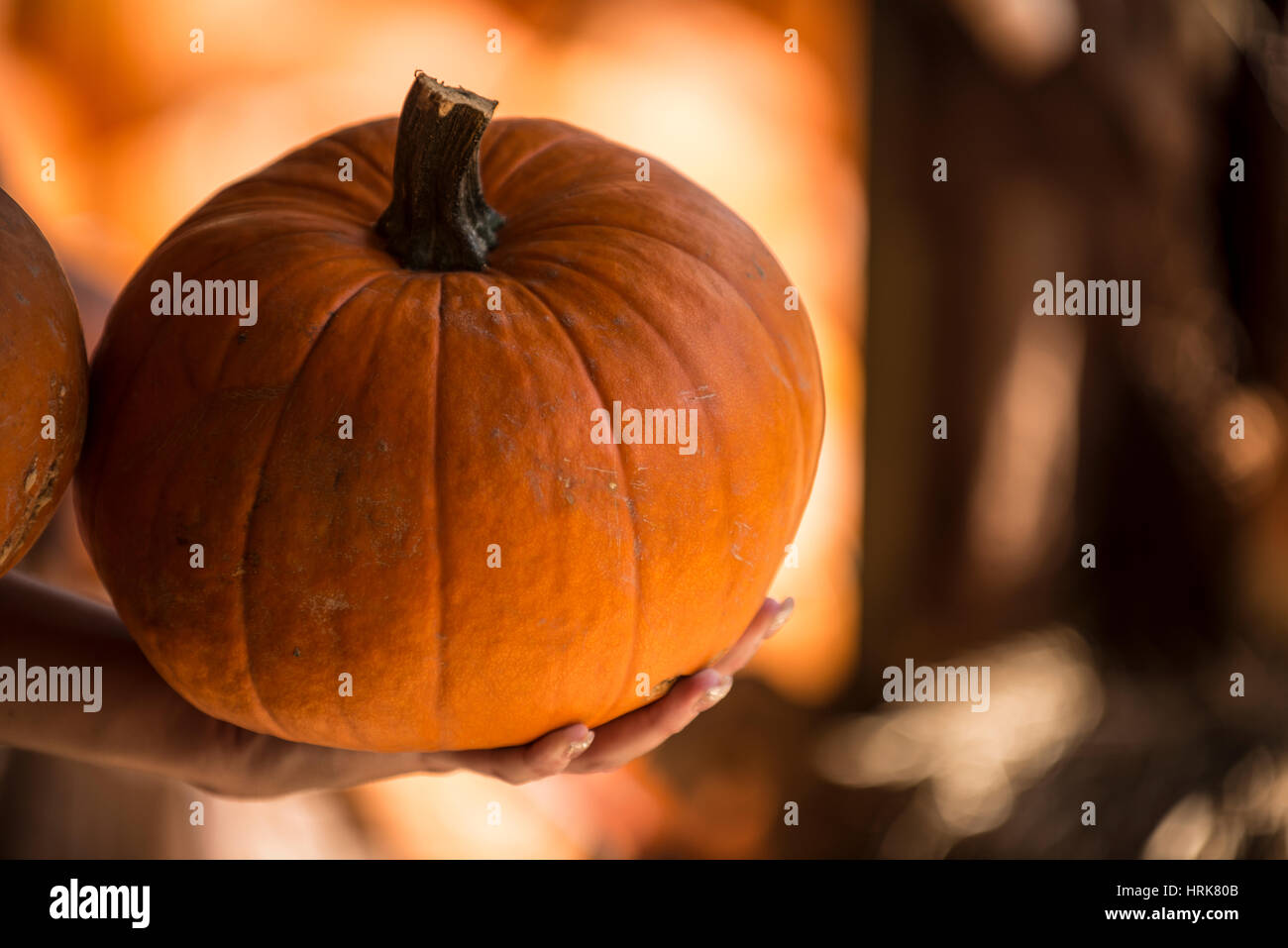 hand holding a pumpkin Stock Photo - Alamy