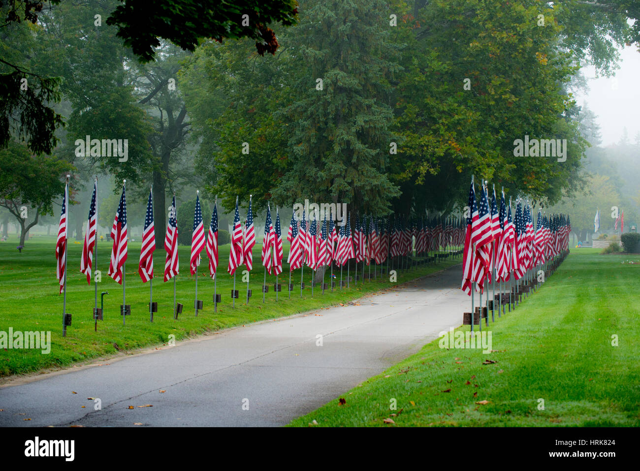 street lined with american flags Stock Photo Alamy