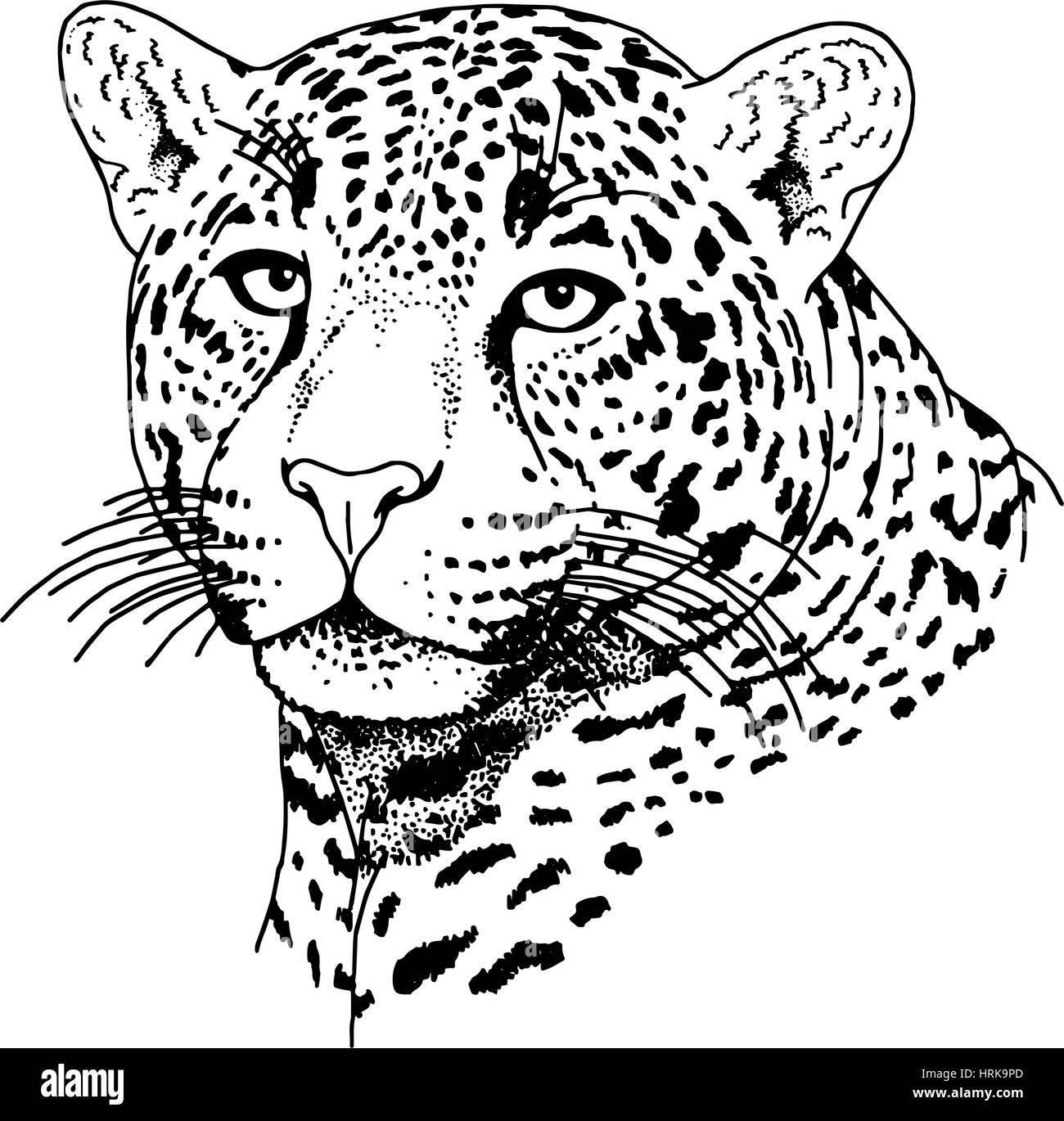 Leopard face tattoo ,Vector illustration, print Stock Vector Image