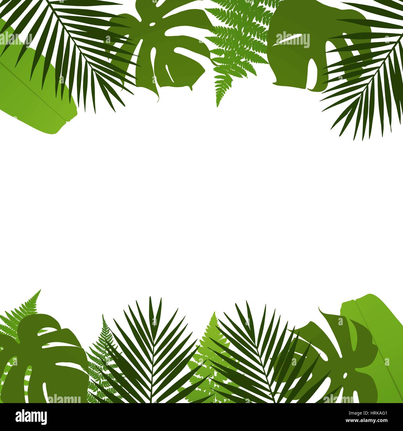 Tropical leaves background with palm,fern,monstera and banana leaves ...