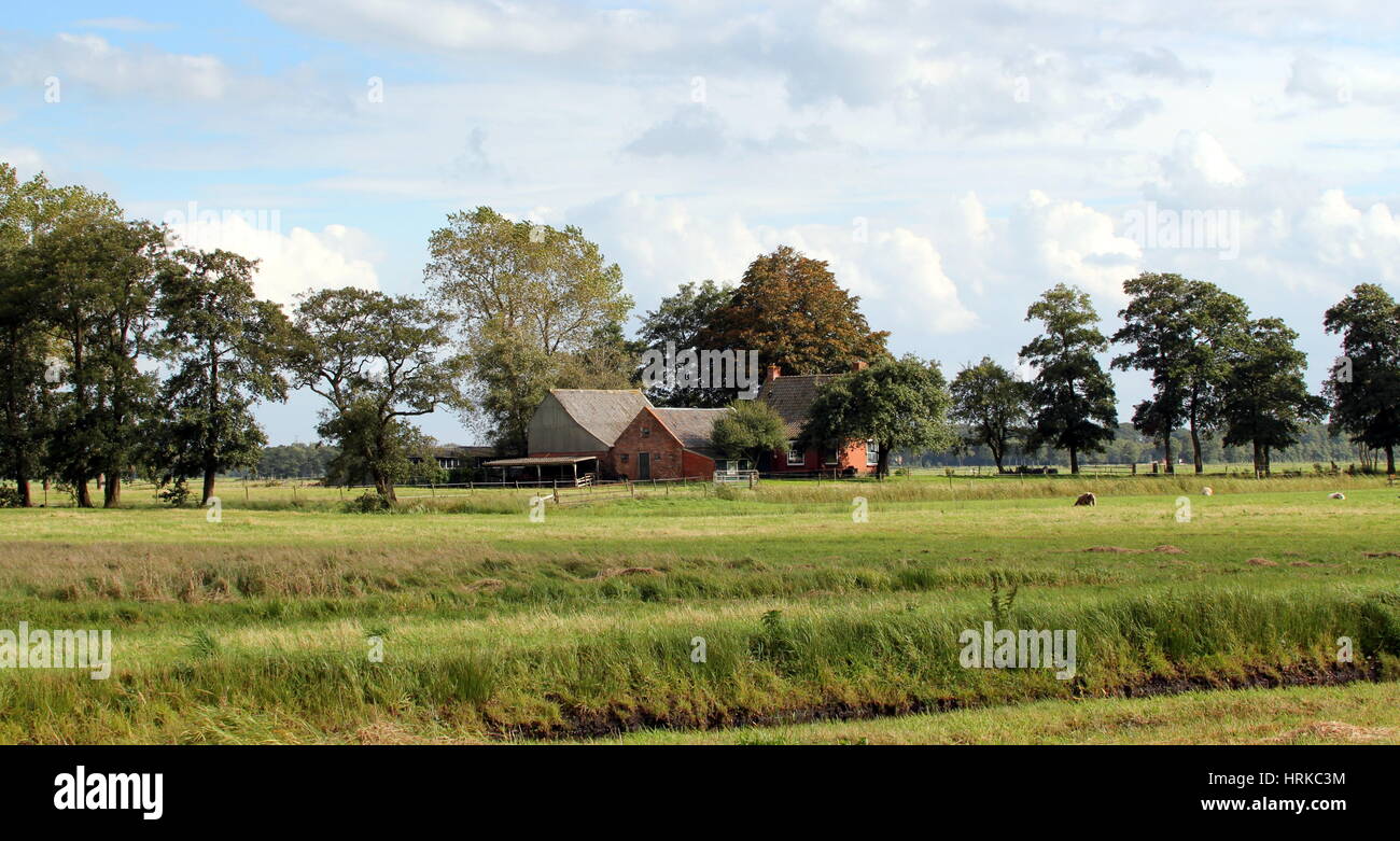 Traditional Dutch farm at Sandebuur village, Leekstermeer area, near the city of Groningen, Netherlands Stock Photo