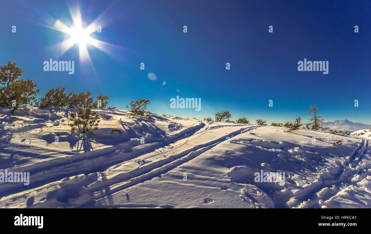 Sunny snowy landscape Stock Photo