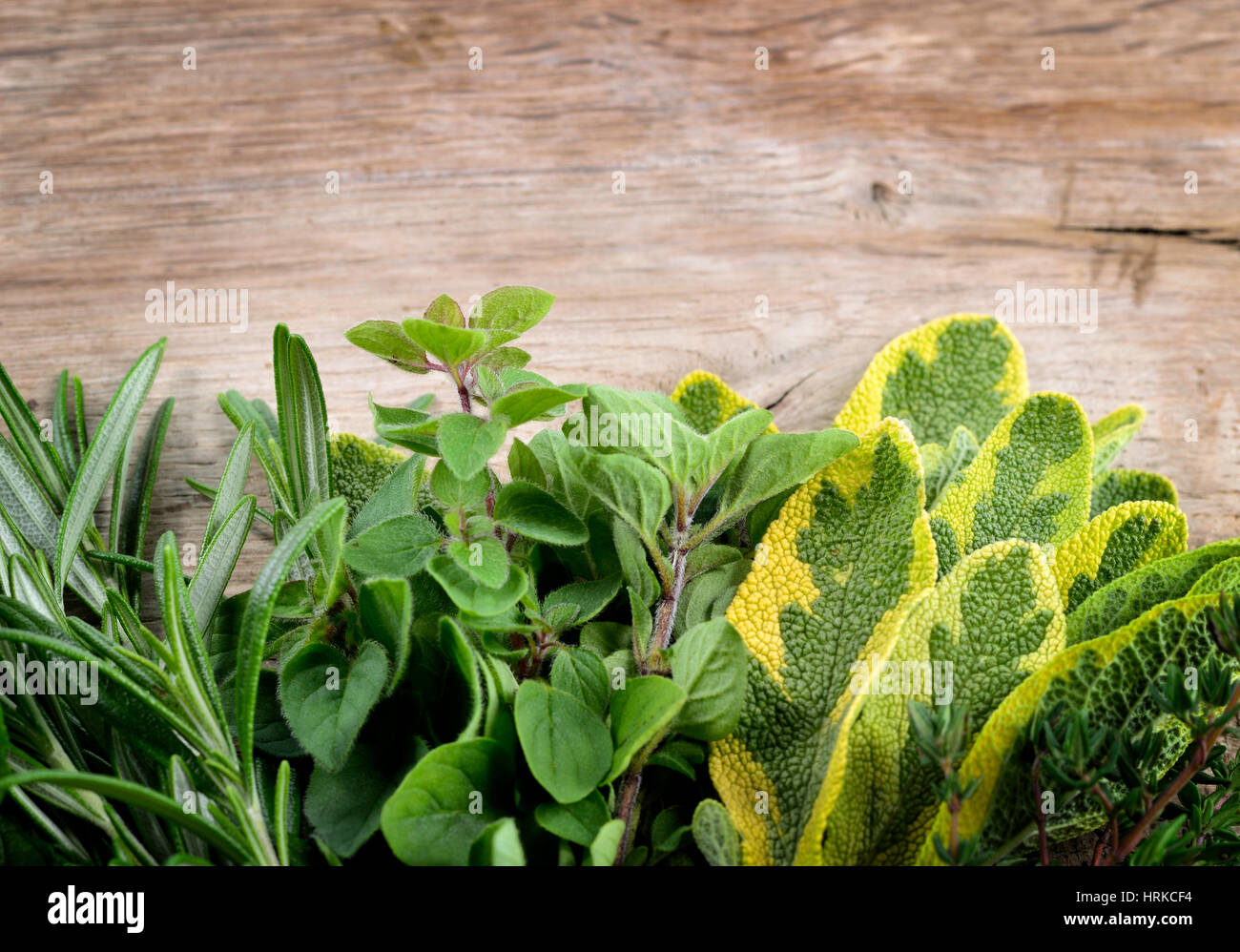 Freshly harvested herbs: rosemary, oregano, sage and thyme over wooden background. Copy space, top view. Stock Photo