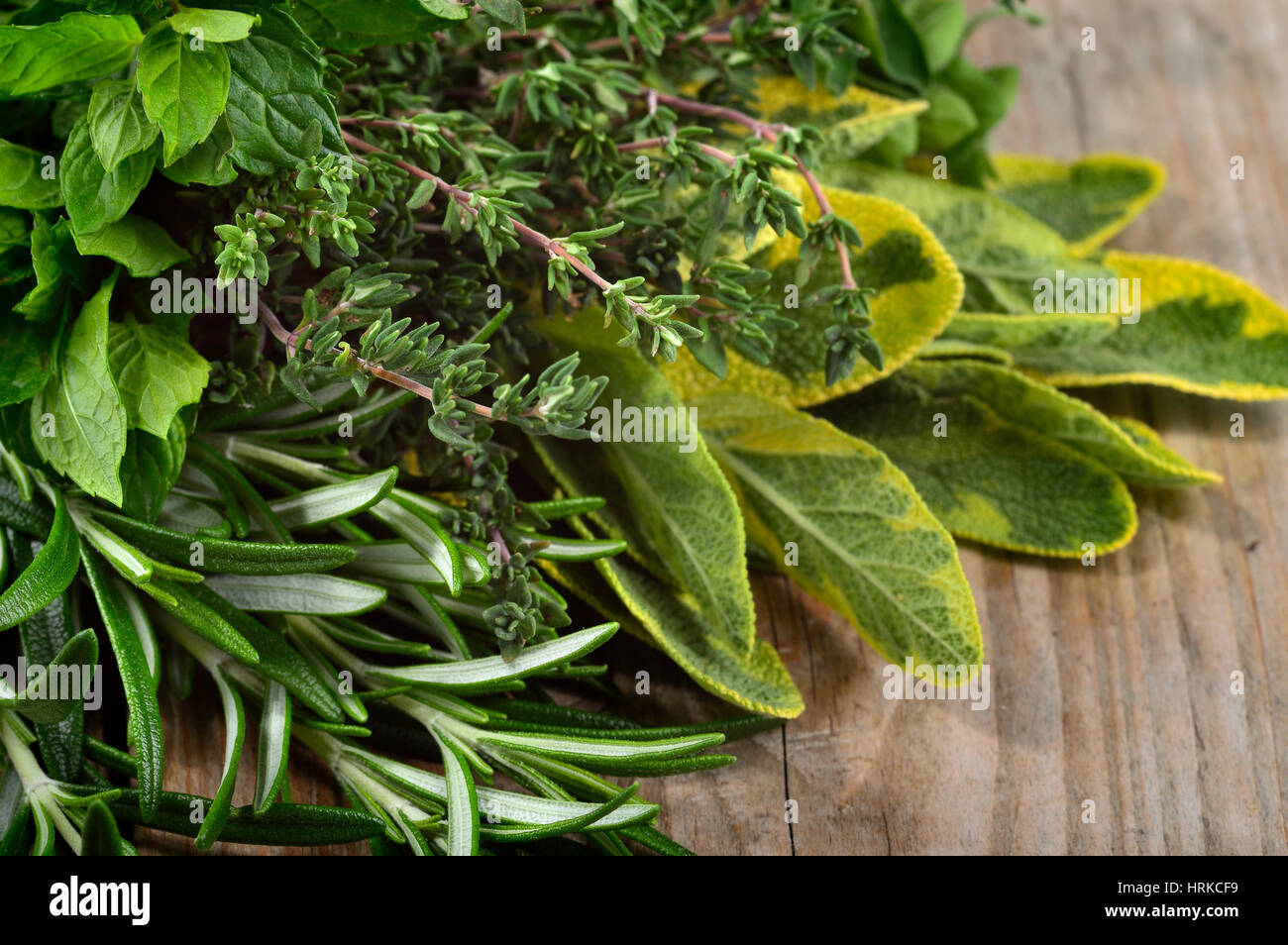 Freshly harvested herbs: rosemary, mint, sage and thyme over wooden background. Angle view. Stock Photo