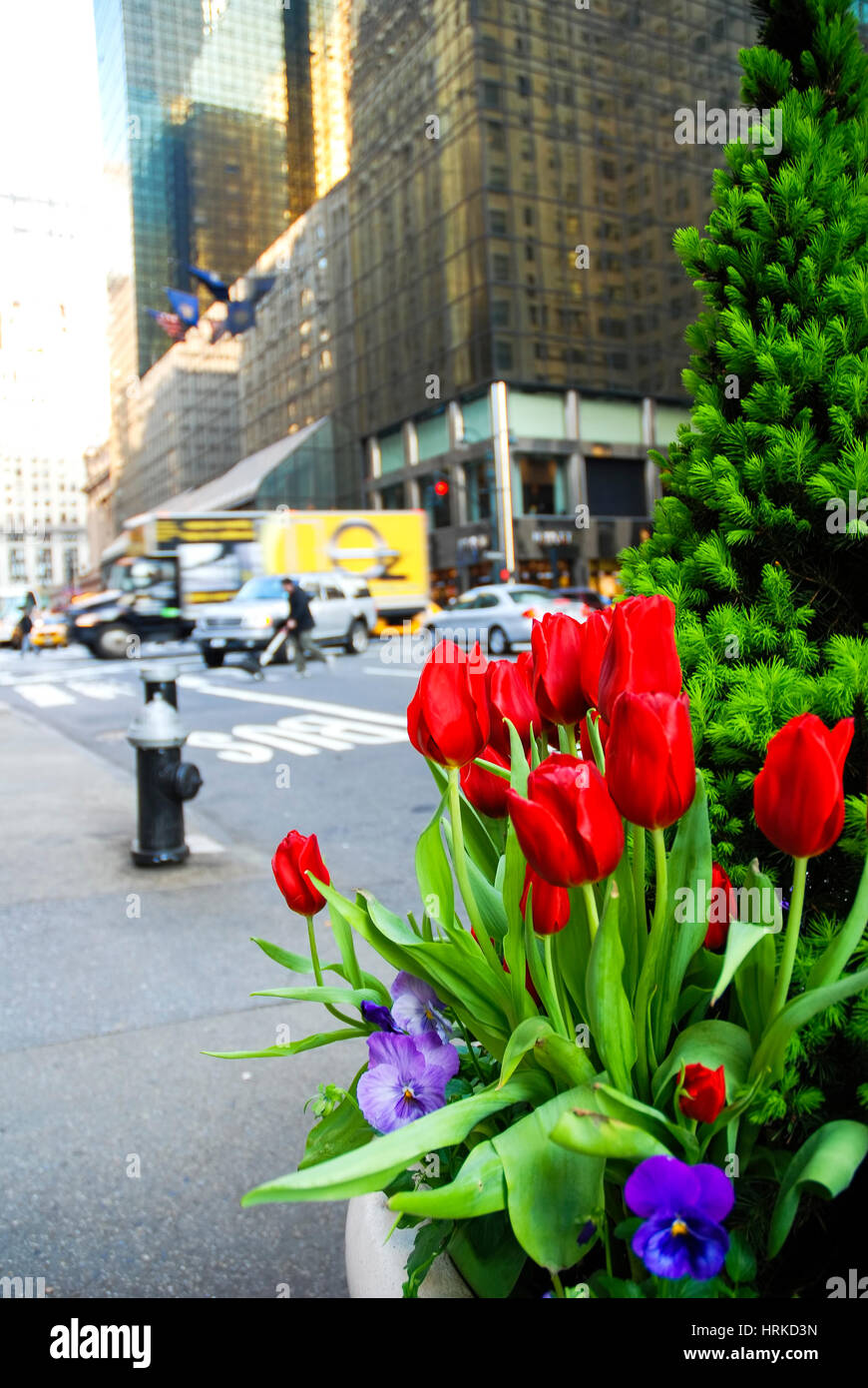 street flowers in Manhattan Stock Photo Alamy