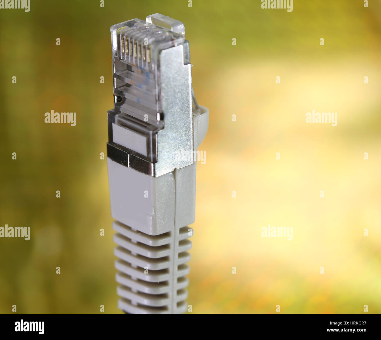 Rj45 connector hires stock photography and images Alamy