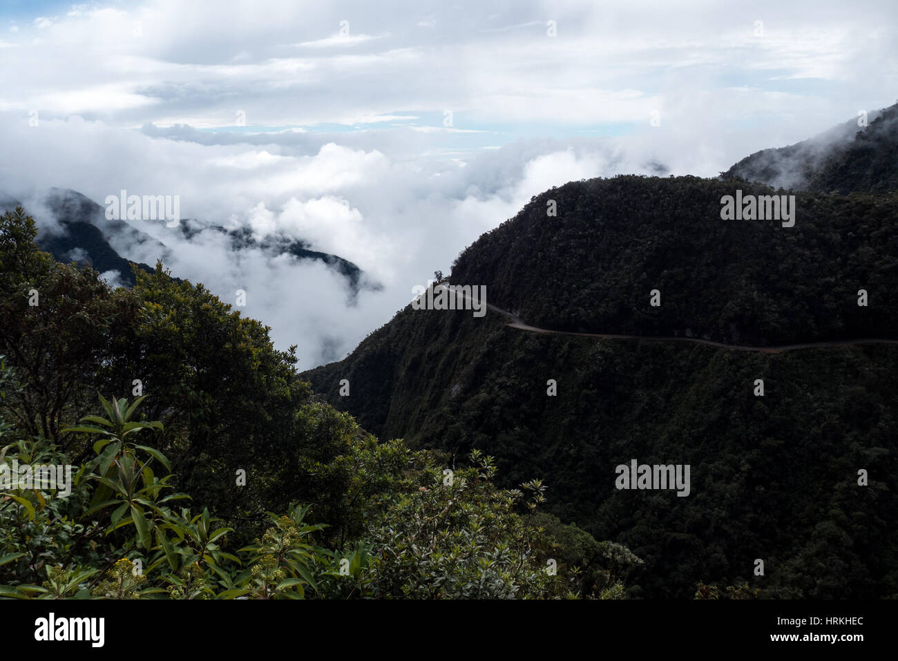 The The North Yungas Road is a road leading from La Paz to Coroico, 56 kilometres (35 mi) northeast of La Paz in the Yungas region of Bolivia. In 1995 Stock Photo