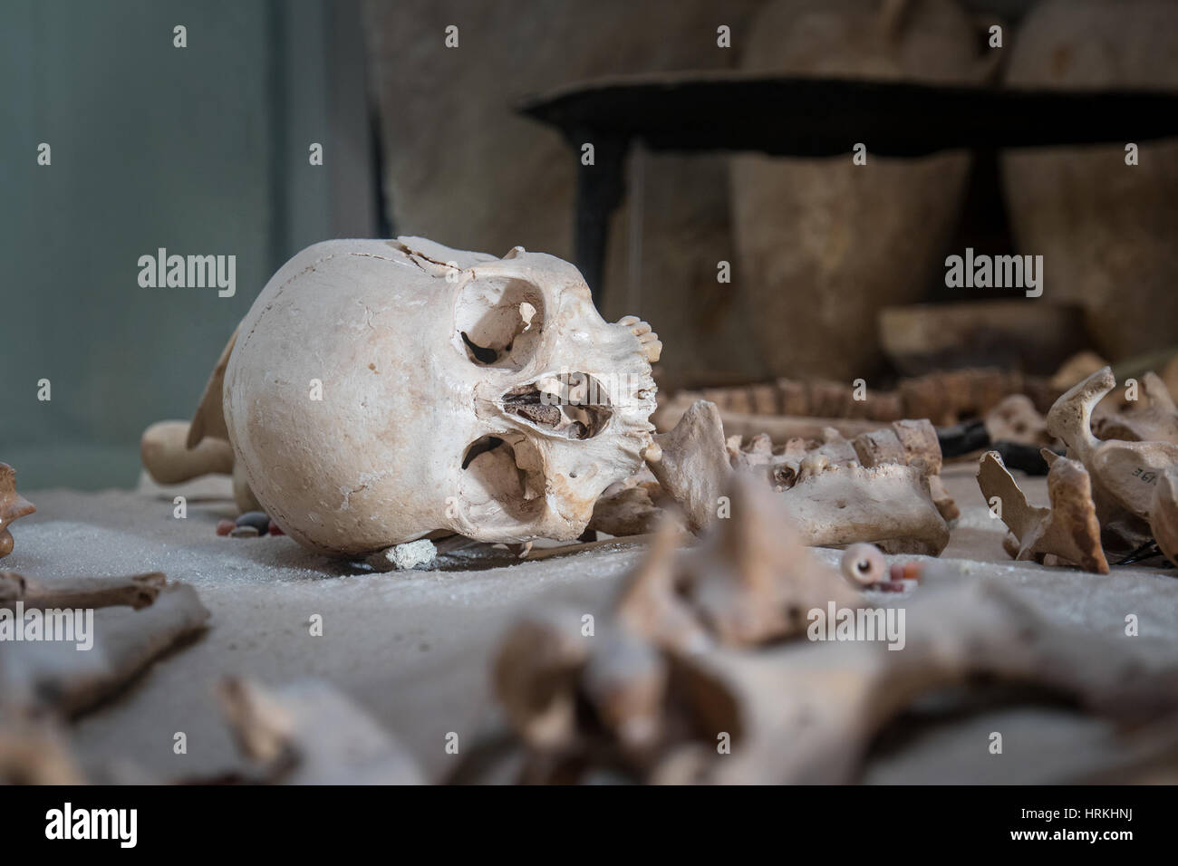 Ancient burial site with a skull and pottery from another milenium Stock Photo