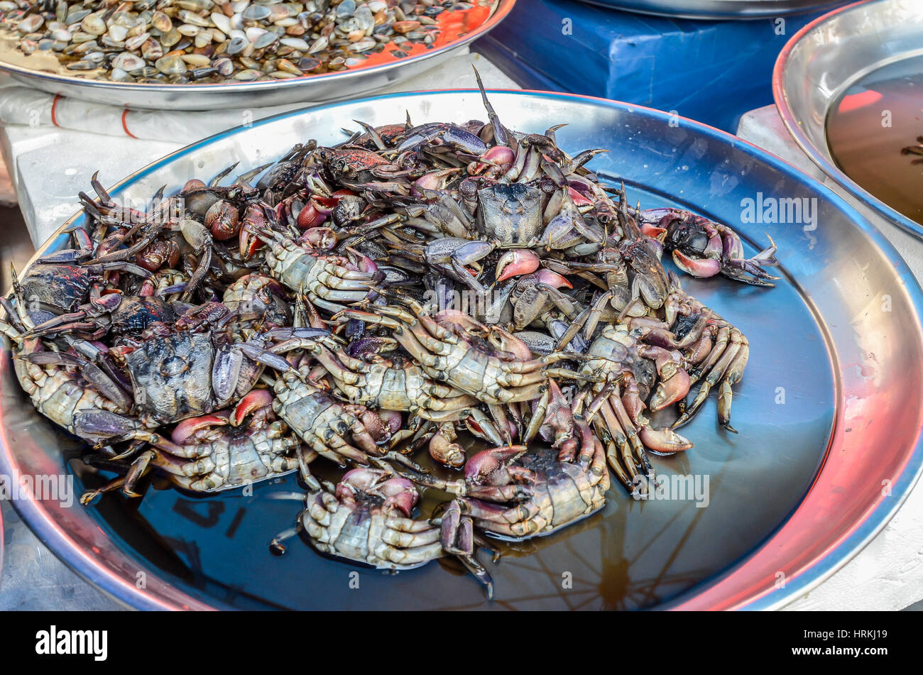 seafood on a market in bangkok, thailand Stock Photo Alamy