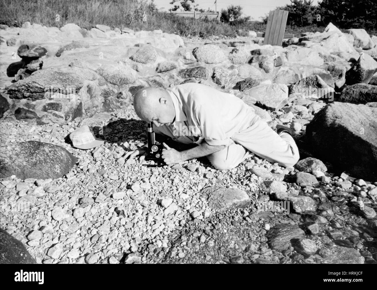 Roman Vishniac High Resolution Stock Photography and Images - Alamy