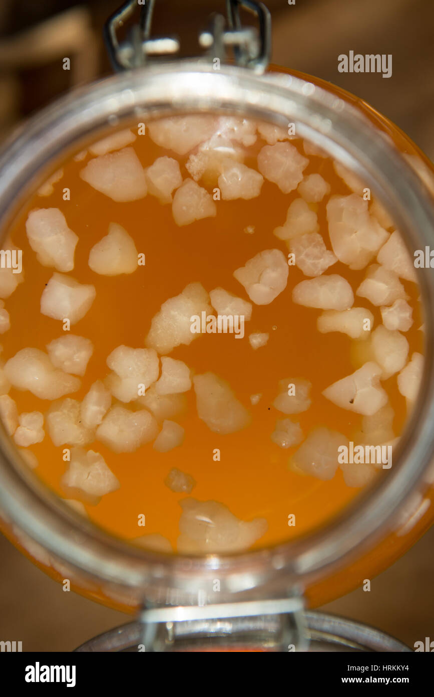 Homemade water kefir Stock Photo Alamy