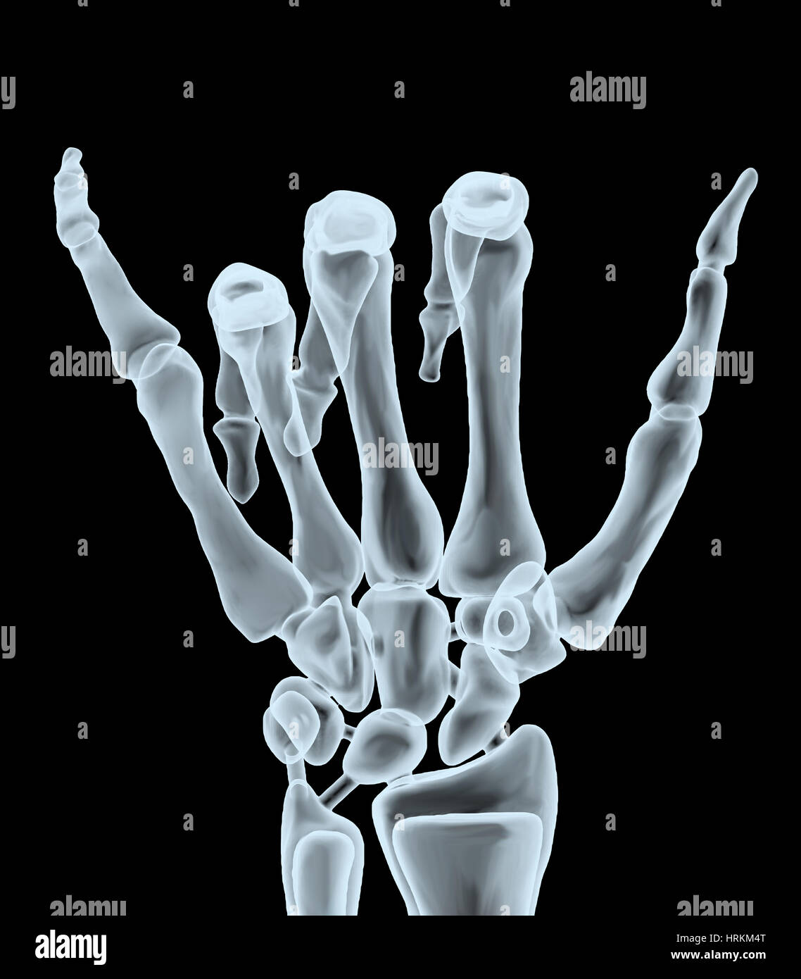 x-ray hand making hangloose gesture, 3d illustration Stock Photo