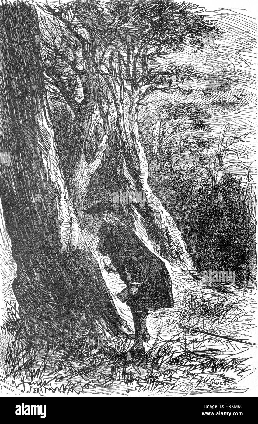 R̩aumur Studying Insects, 18th Century Stock Photo