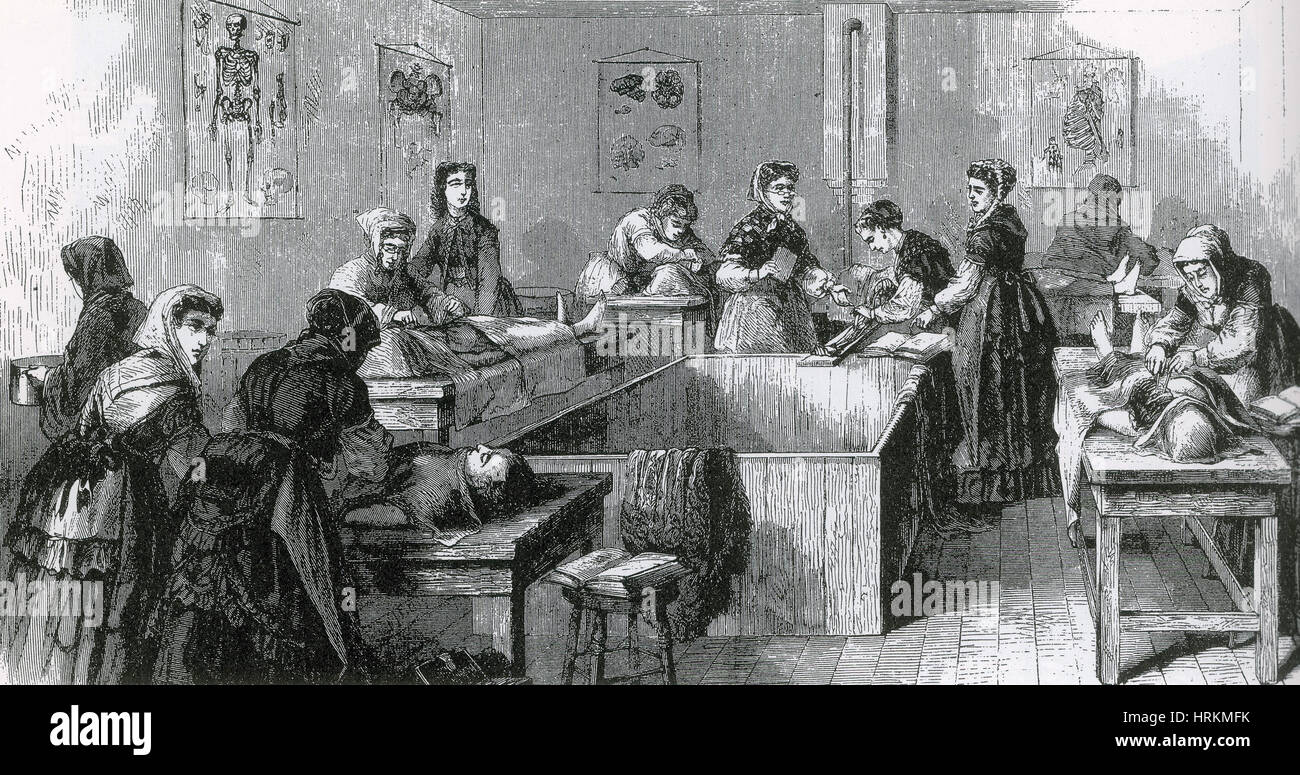 Anatomy Class Dissection, Female Medical Students Stock Photo Alamy