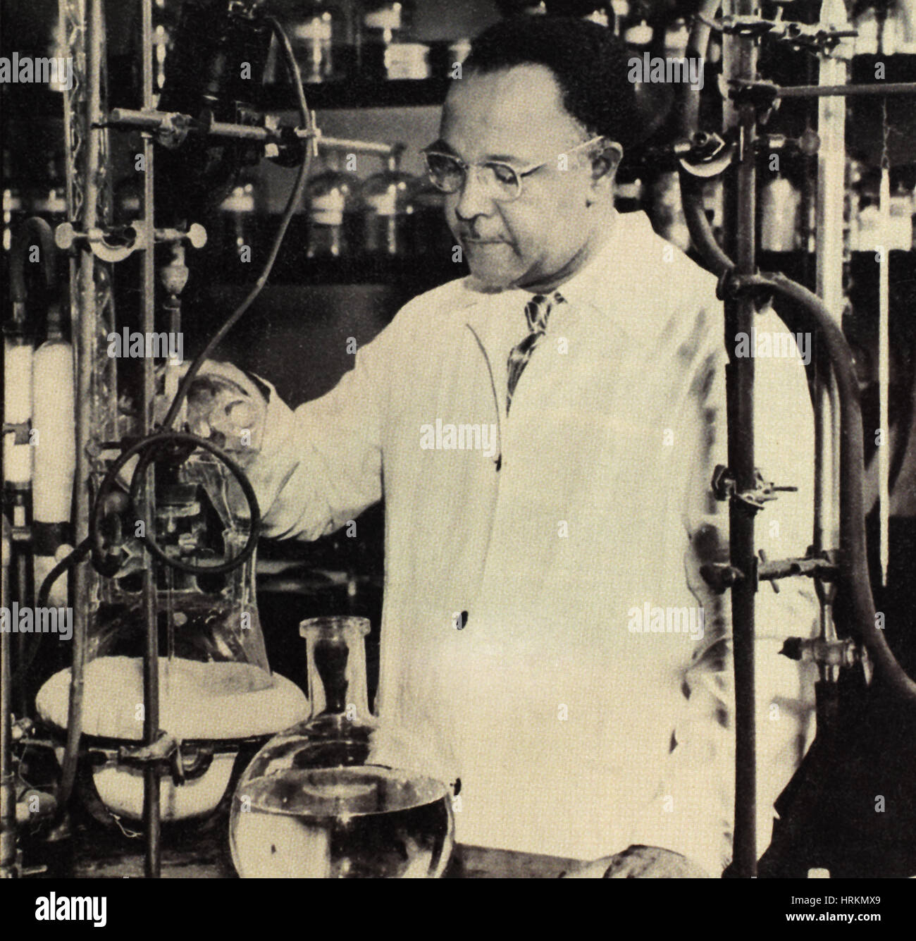 Percy Lavon Julian, American Research Chemist Stock Photo
