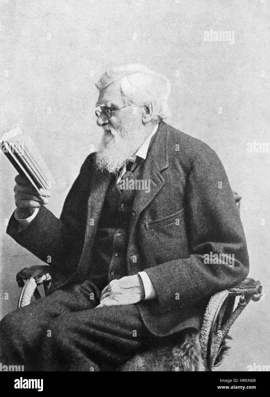 Alfred Russel Wallace, Welsh Naturalist Stock Photo
