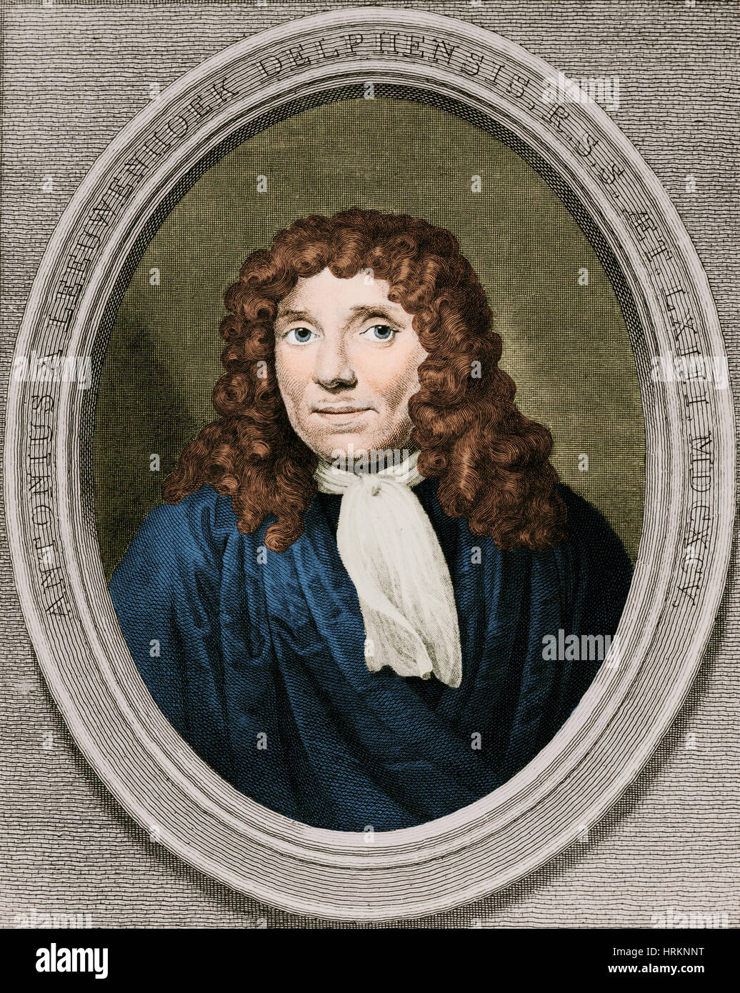 anton van leeuwenhoek discovery