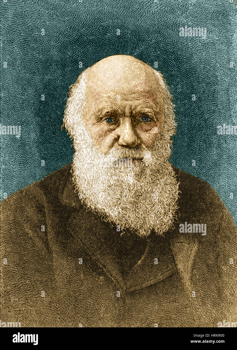 Charles Robert Darwin, English Naturalist Stock Photo Alamy