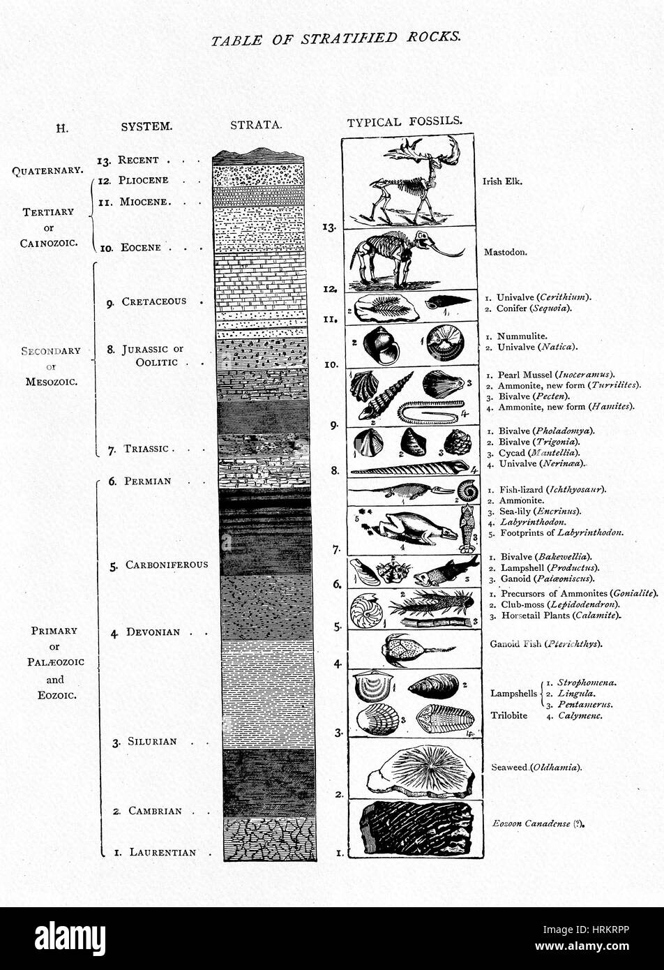 Table of Stratified Rocks, 1888 Stock Photo