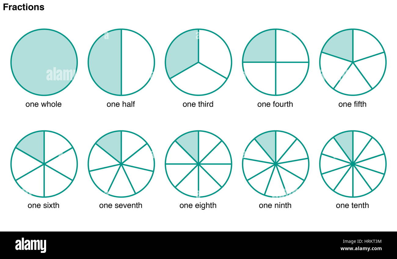 Circles divided into portions to illustrate the following fractions, one whole, one half, one third, one fourth, one fifth, one sixth, one seventh, Stock Photo