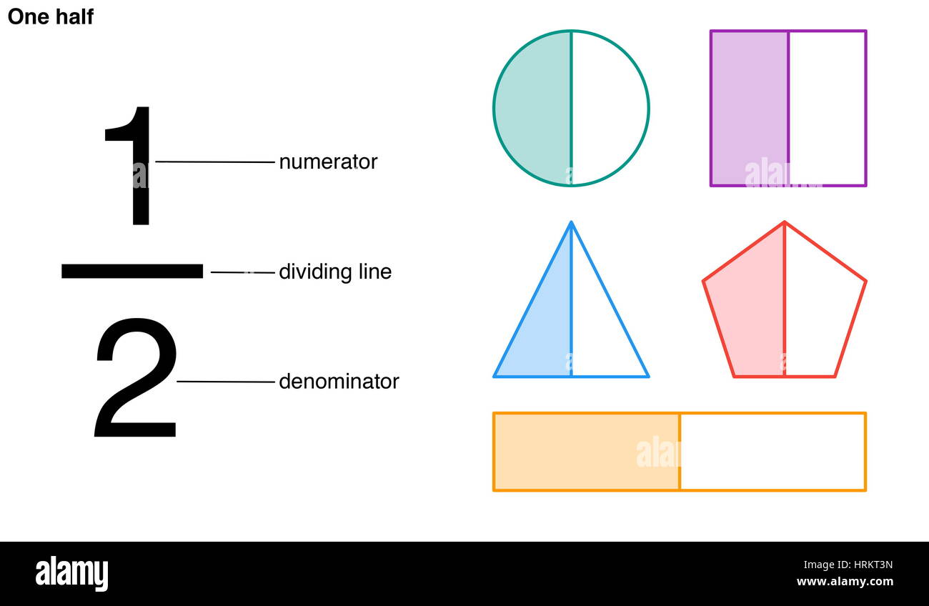 One half fraction with the numerator, dividing line, and denominator labeled. Divided into two equal parts, the symmetrical shape of a circle, Stock Photo