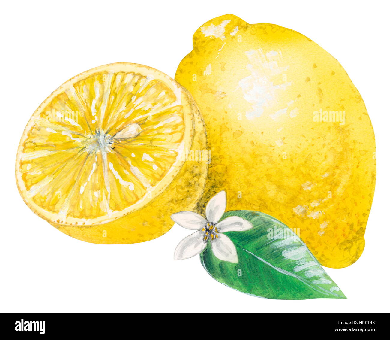 Lemon, citrus fruit Stock Photo