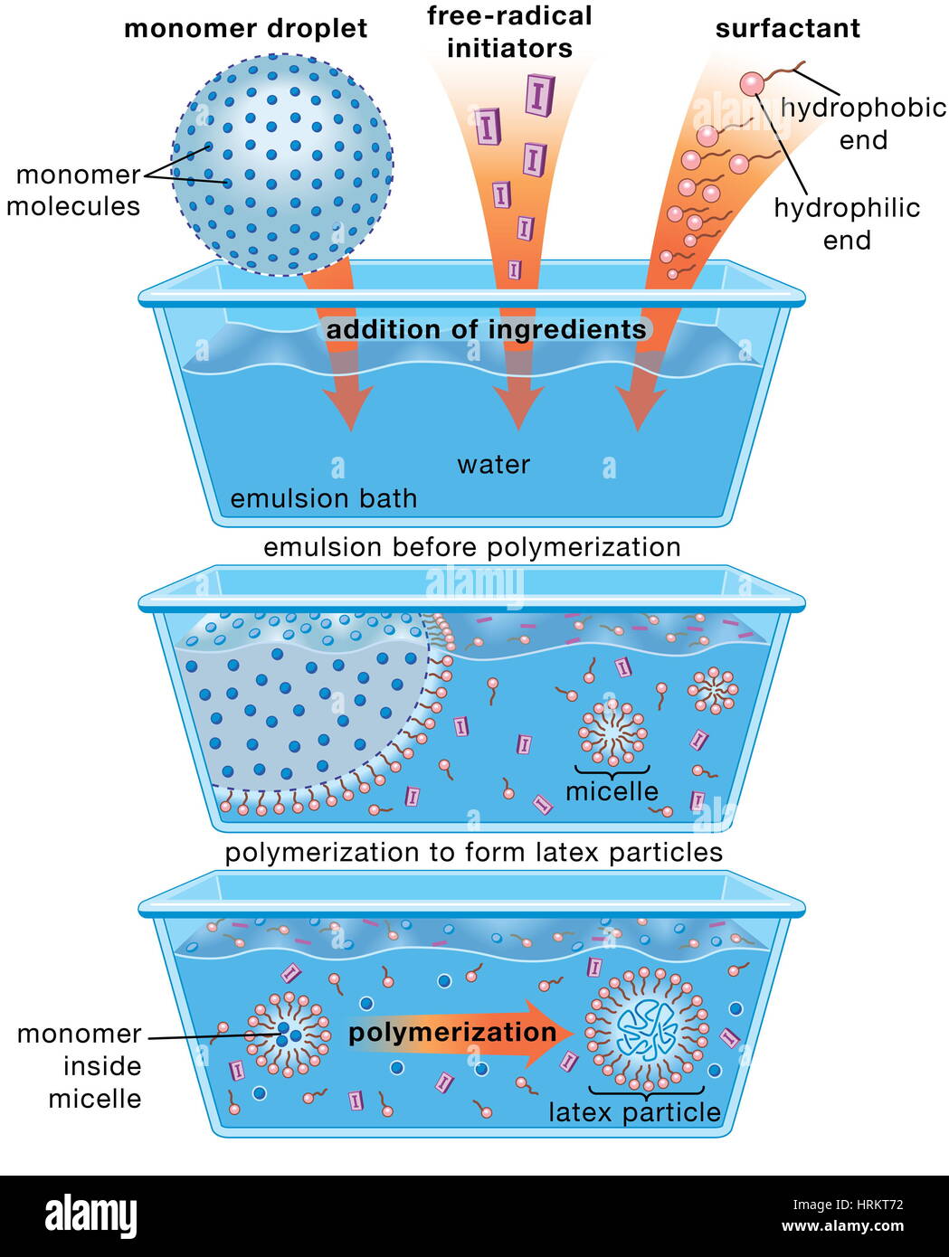 Schematic diagram of the emulsion-polymerization method. Monomer molecules and free-radical initiators are added to a water-based emulsion bath along Stock Photo
