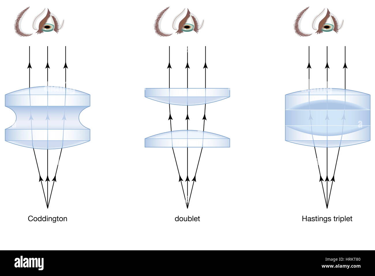 three forms of magnifiers, doublet, Coddington, Hastings triplet, microscope, microscopy Stock Photo
