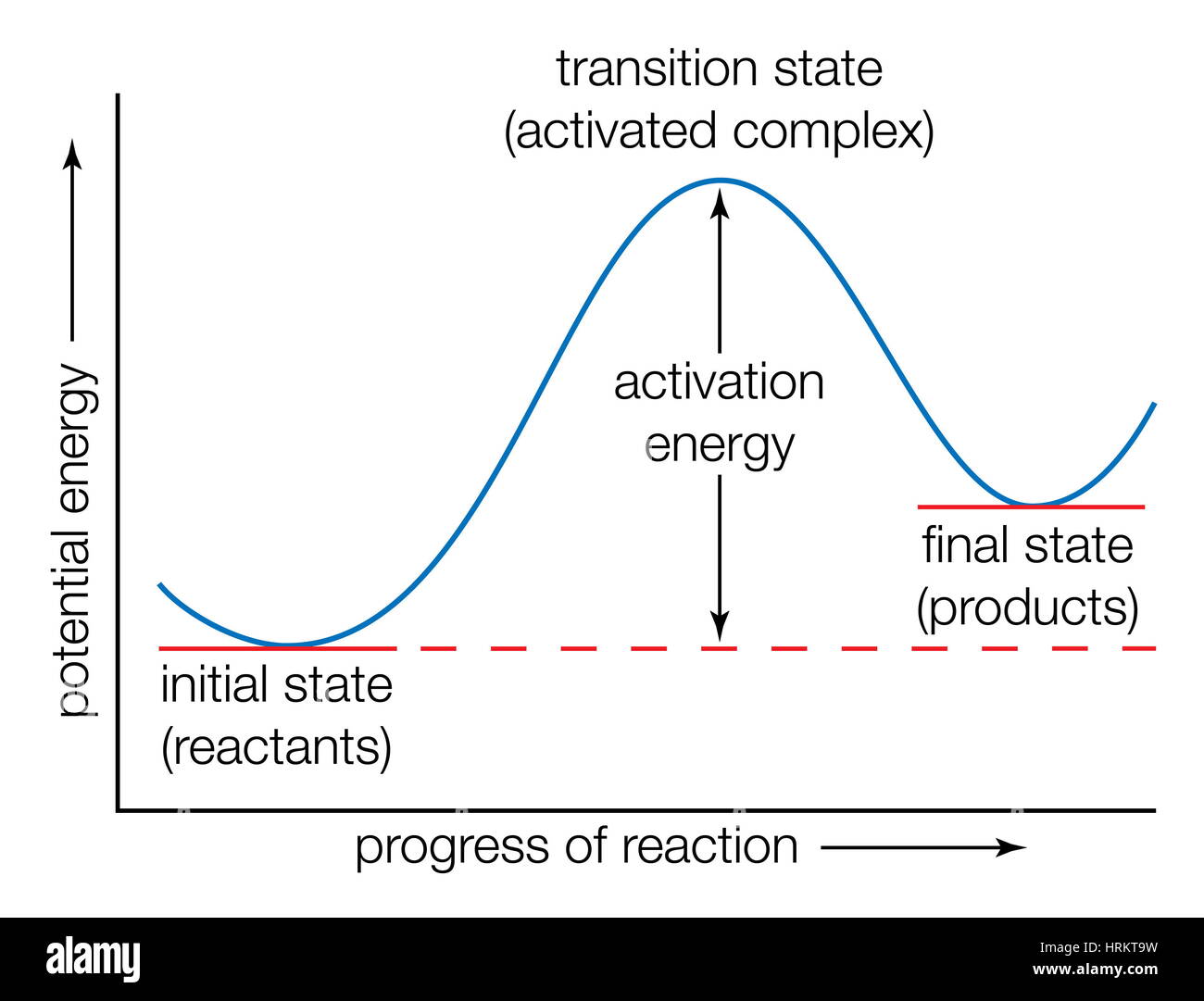 Potential energy curve. Energy transition states, progress of reaction, transition-state theory, activated-complex theory, theory of absolute Stock Photo