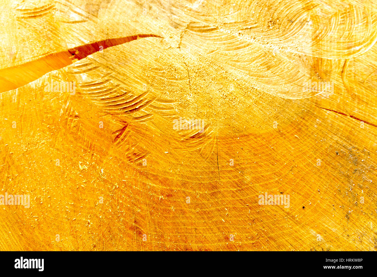 Abstraction. Composition of wood. Background of wood. Wood Alder. Tree alder Stock Photo